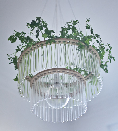 живая люстра