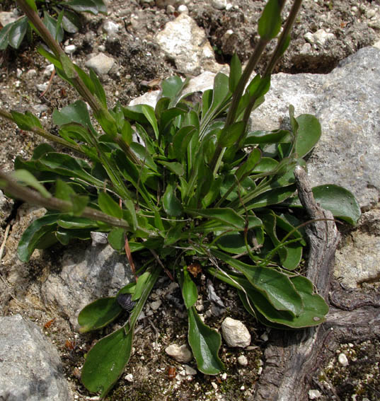 revue annuaire des rencontres