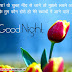 Beautiful Good Night Quotes in Hindi Shayari | Hindi Good Night Wishes