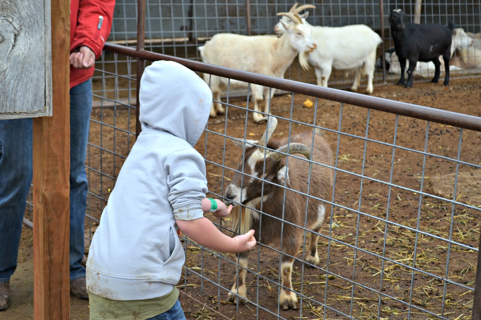 Anderson farms coupons