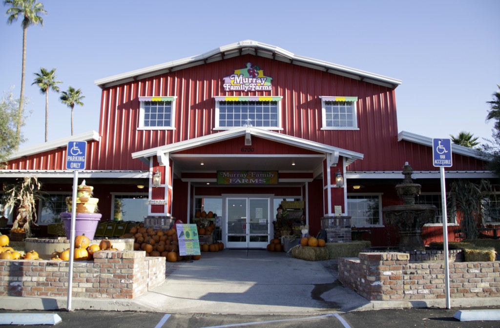 Pieces of Palm Fruit Stands and Farmer's Markets