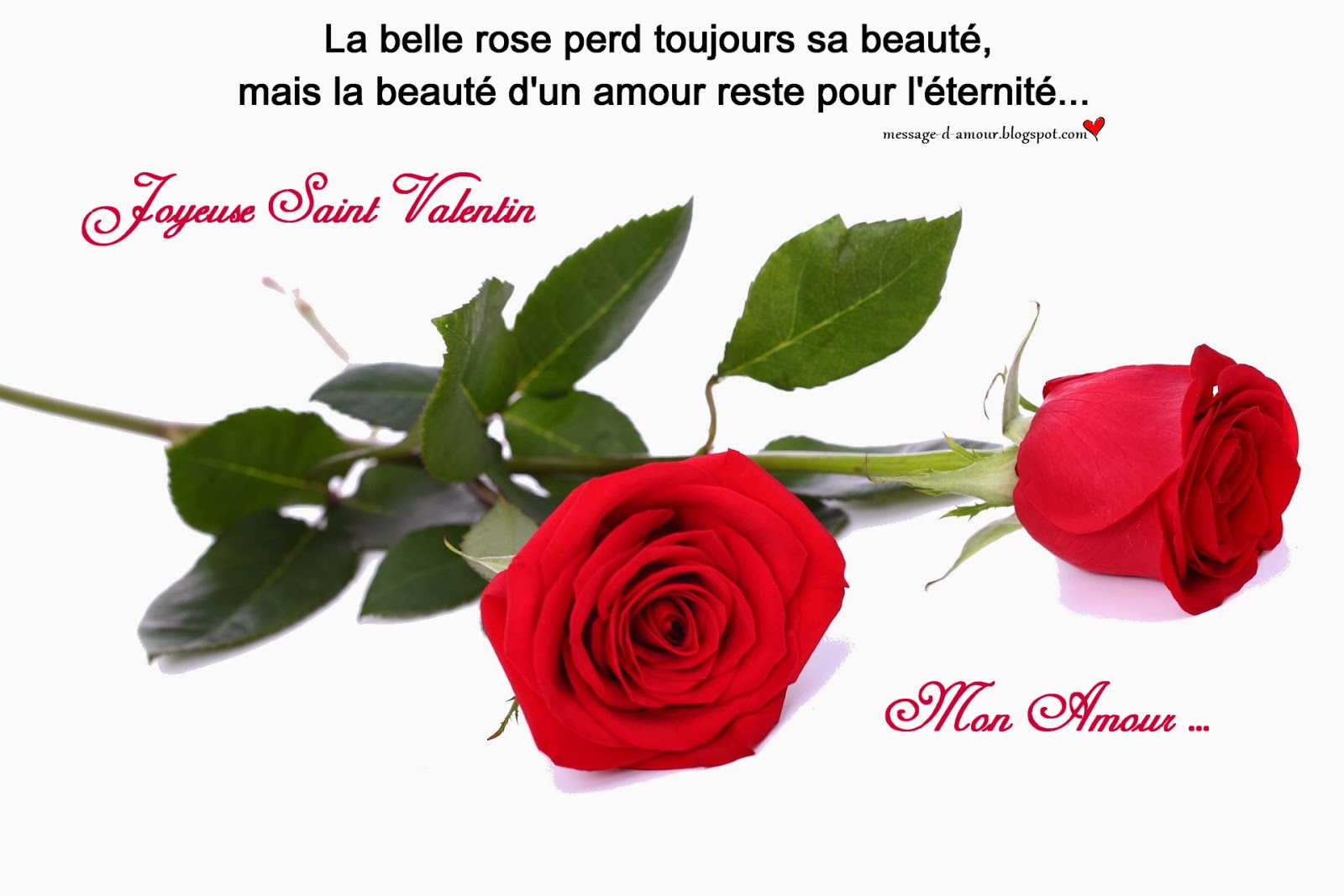 carte saint valentin