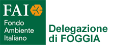 FAI Foggia