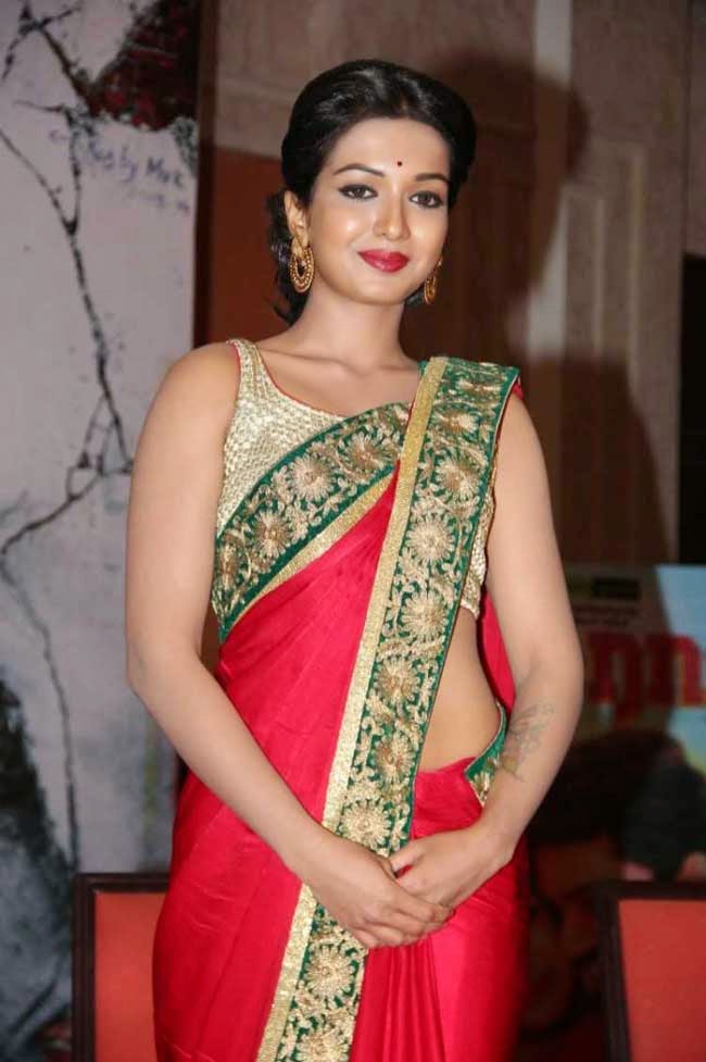 South Indian film actress