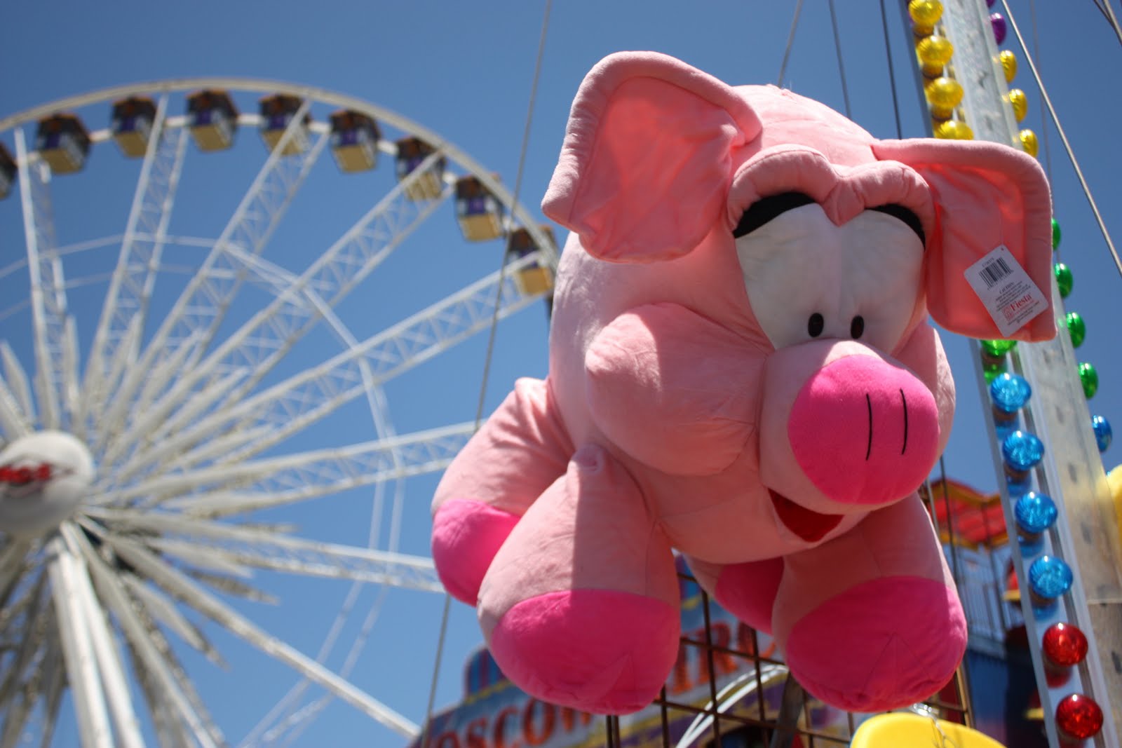 Penn Appétit "Let's Eat!" at the Orange County Fair