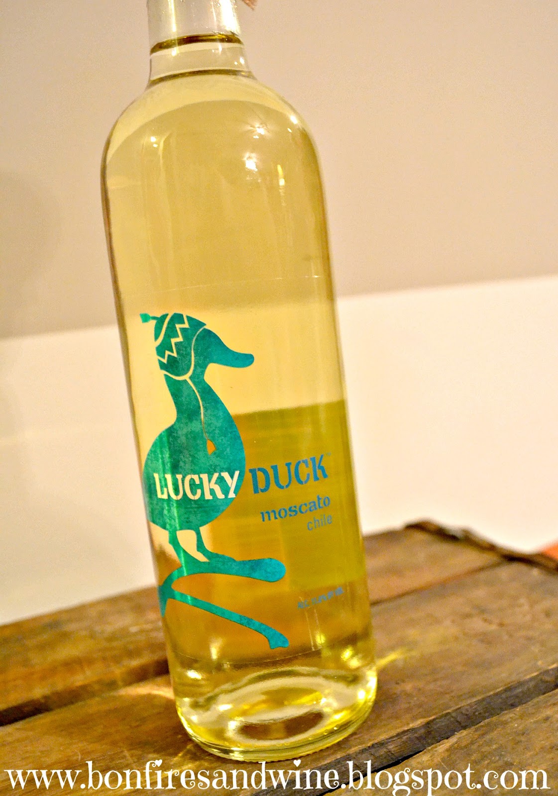 Bonfires and Wine: DIY Wine Wedding Gift