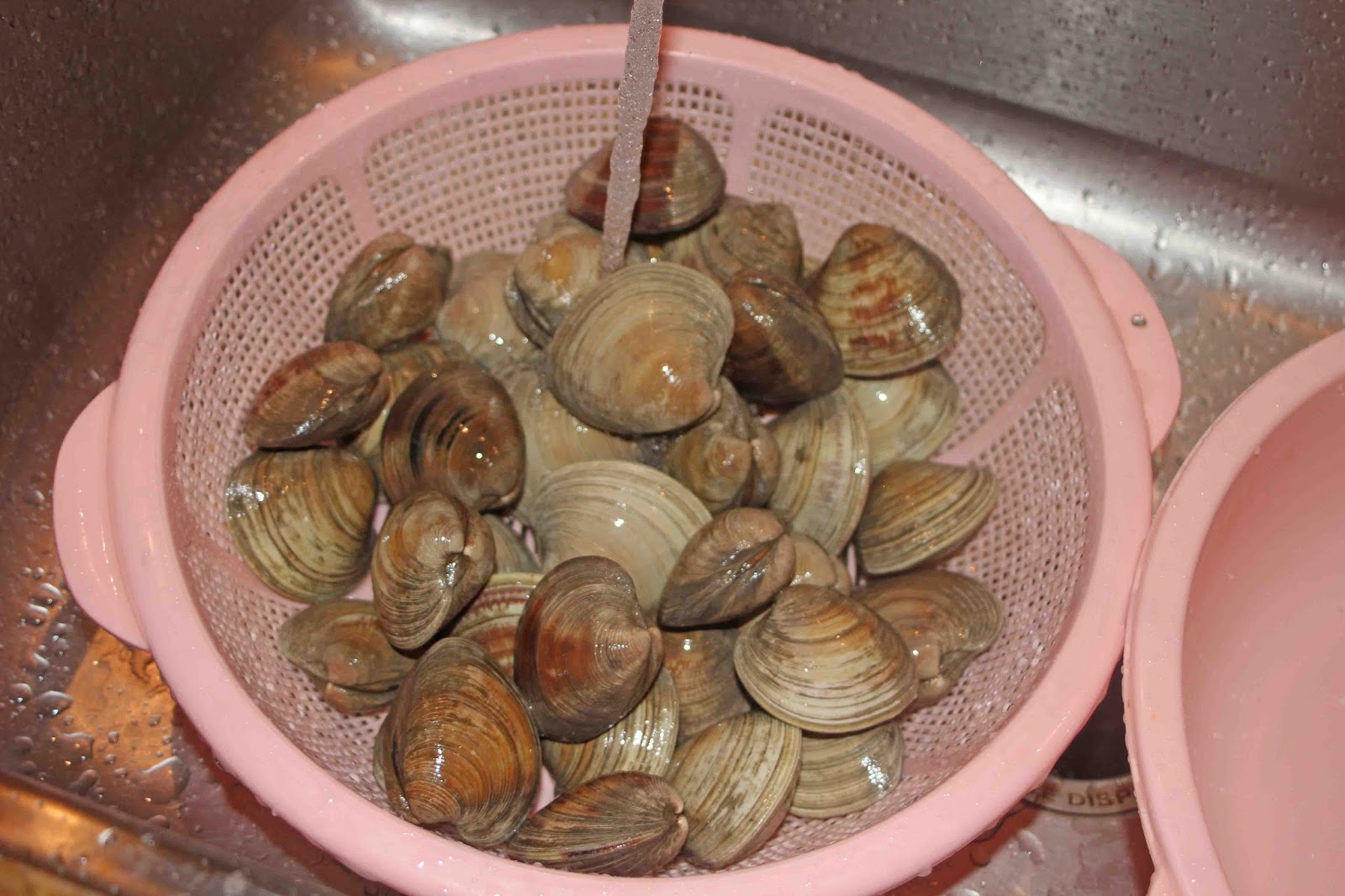 The Grub Files Cooking with Camissonia Steamed Clams with Olive Oil, Butter, White Wine