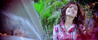 Seethamma Vakitlo Sirimalle Chettu Movie Wallpapers