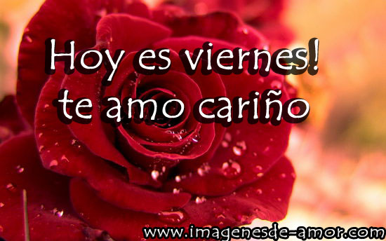 Imagenes De Amor Para Viernes | im 225 genes para fb para desear un feliz viernes a tu novia o Imagenes De Amor Para Viernes | im 225 genes para fb para desear un feliz viernes a tu novia o