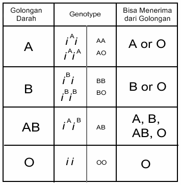 Transfusi Darah Transfusi Darah