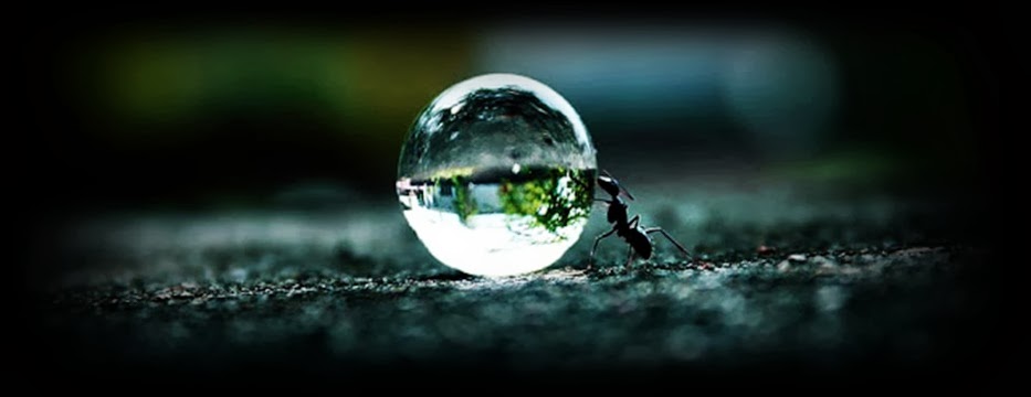 Dimensi Tiga - Latihan Soal - zeniusnet