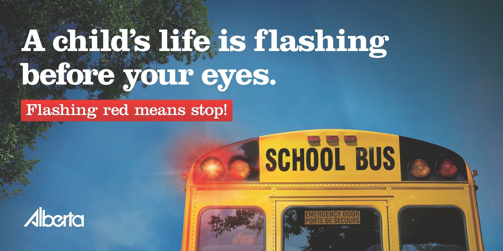 Flashing red lights on a school bus means STOP!
