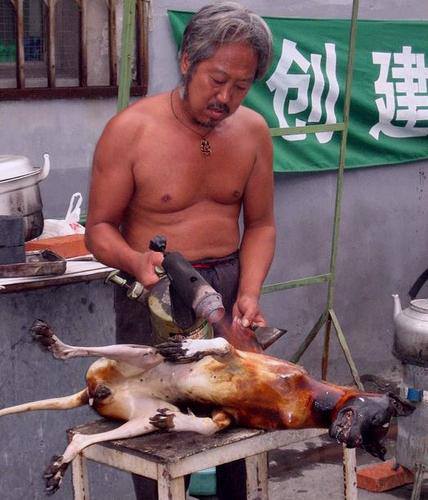 Perro+Chisu Those who don't have time to go to the food streets usually cook dog ...