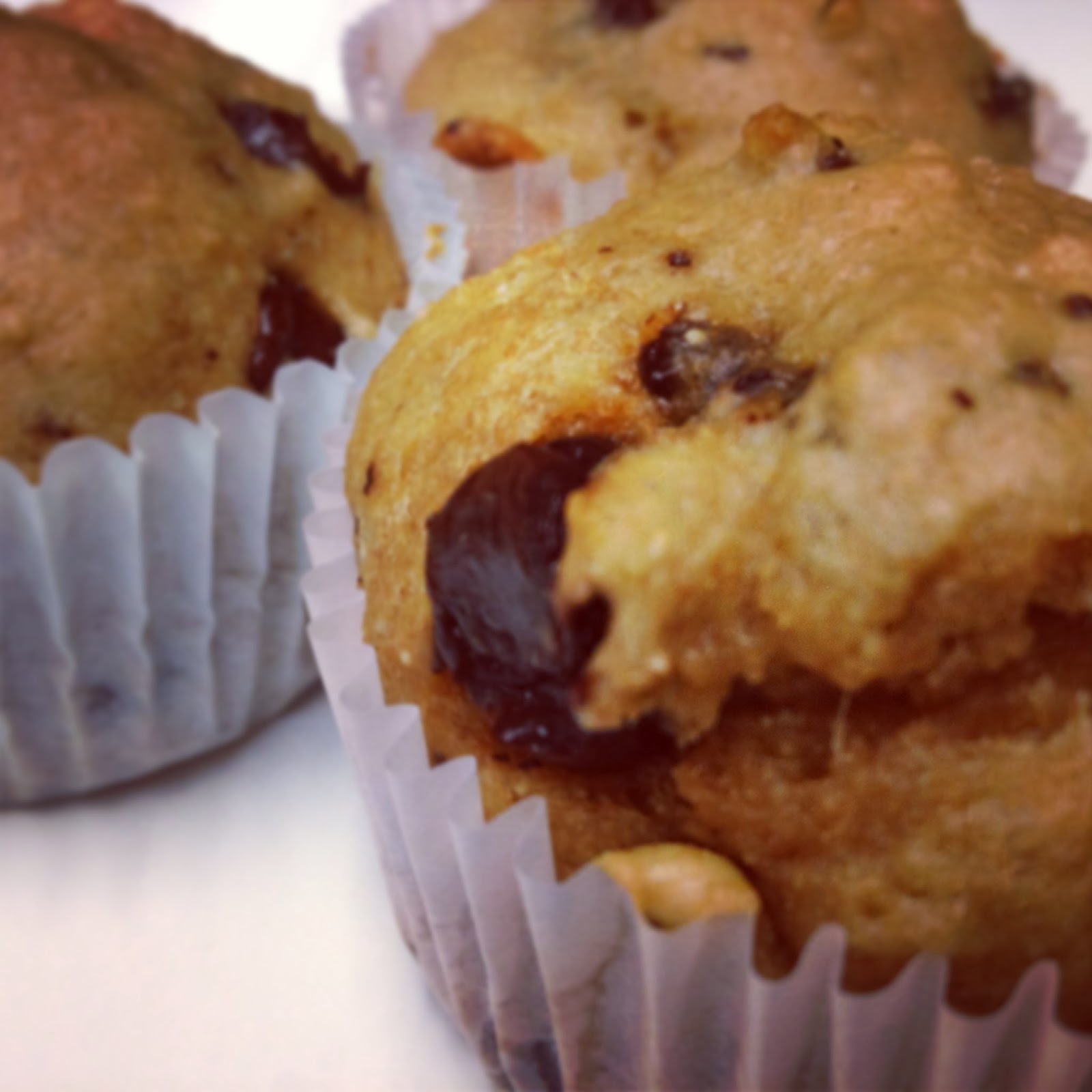 Hannah's Bananas Greek Yogurt Chocolate Chip Muffins