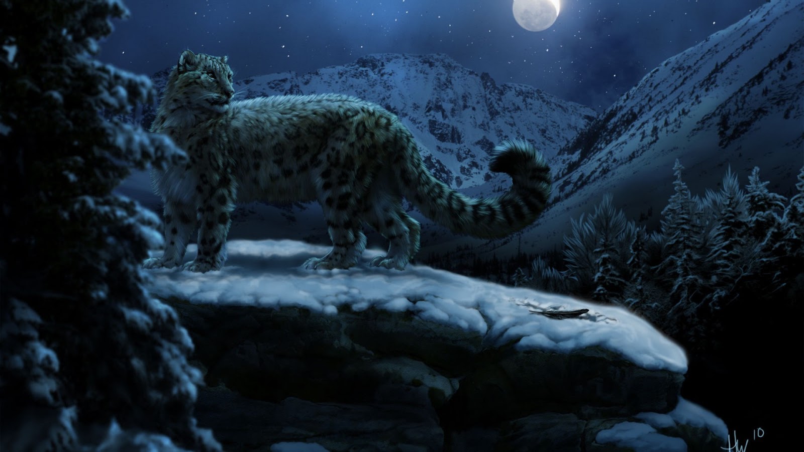 http://4.bp.blogspot.com/-O7tgYhSihhQ/USvBZ_9ZdNI/AAAAAAAAET8/92v09dJP84Y/s1600/winter-snow-forest-animals-moon-snow-leopards-artwork-leopards-1920x1080-hd-wallpaper.jpg