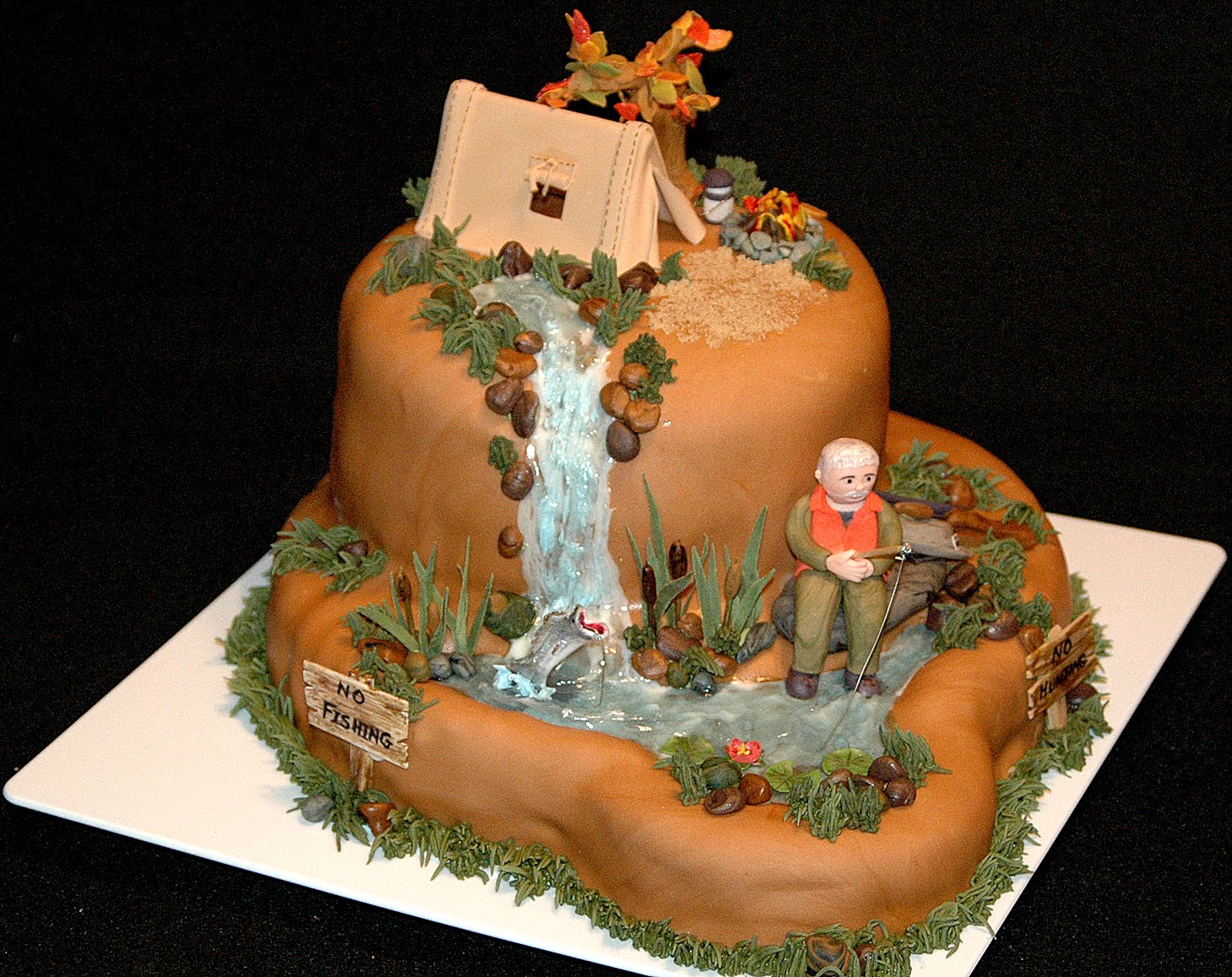 Camping cake ideas Pinterest