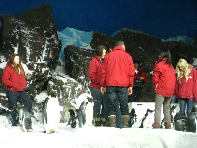 Food Network &quot;Cupcake Wars&quot; Series Premiere WIN Recap