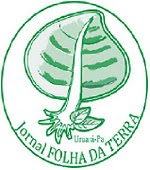 Folha da Terra