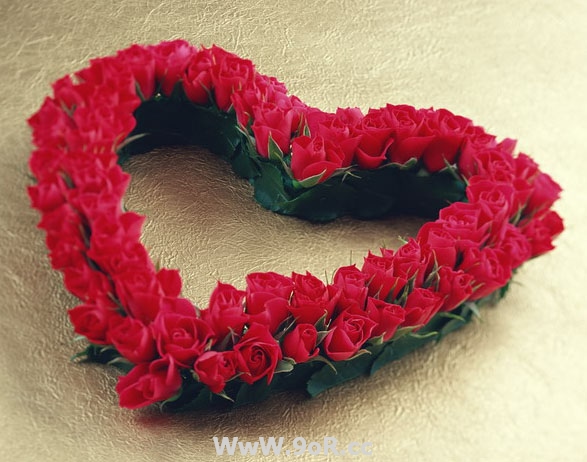 www_9or_cc%252520-gl-%252520%252884%2529