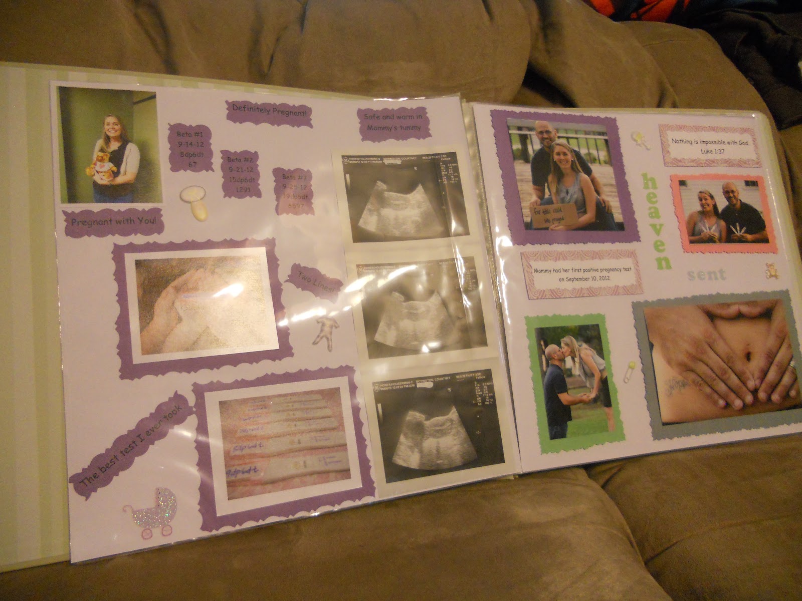 Our Pathway to Parenthood Pregnancy Scrapbook