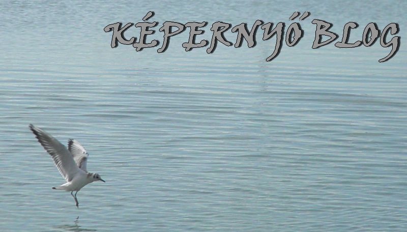 Képernyő Blog