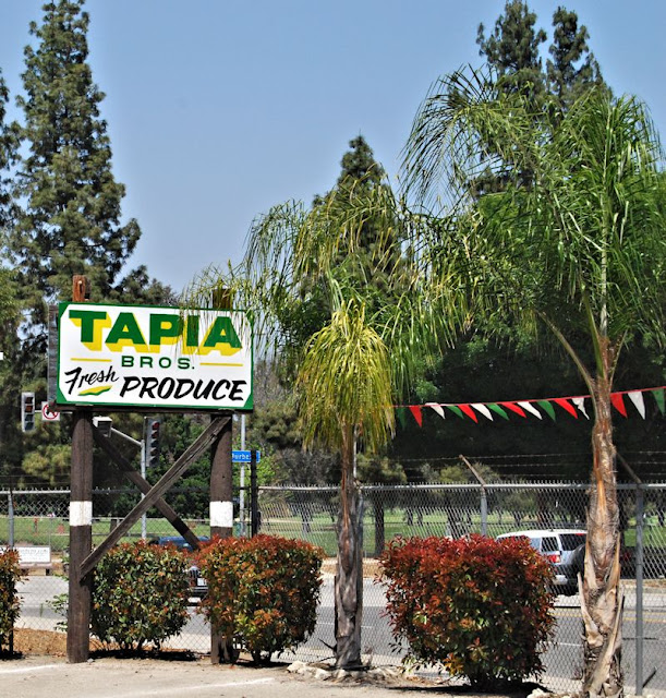 On The Street Urban Farming With The Tapia Brothers