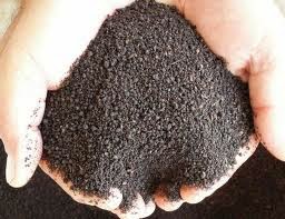 fertilizante orgânico cultivo de maconha