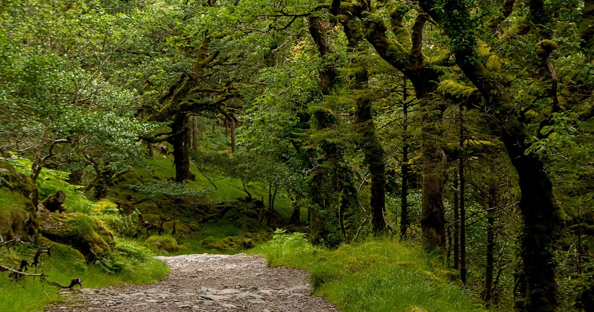 A Backpacker's Life Killarney National Park