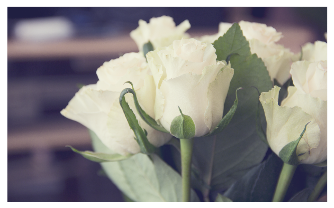 White Roses Bouquet Tumblr White Roses Bouquet Tumblr