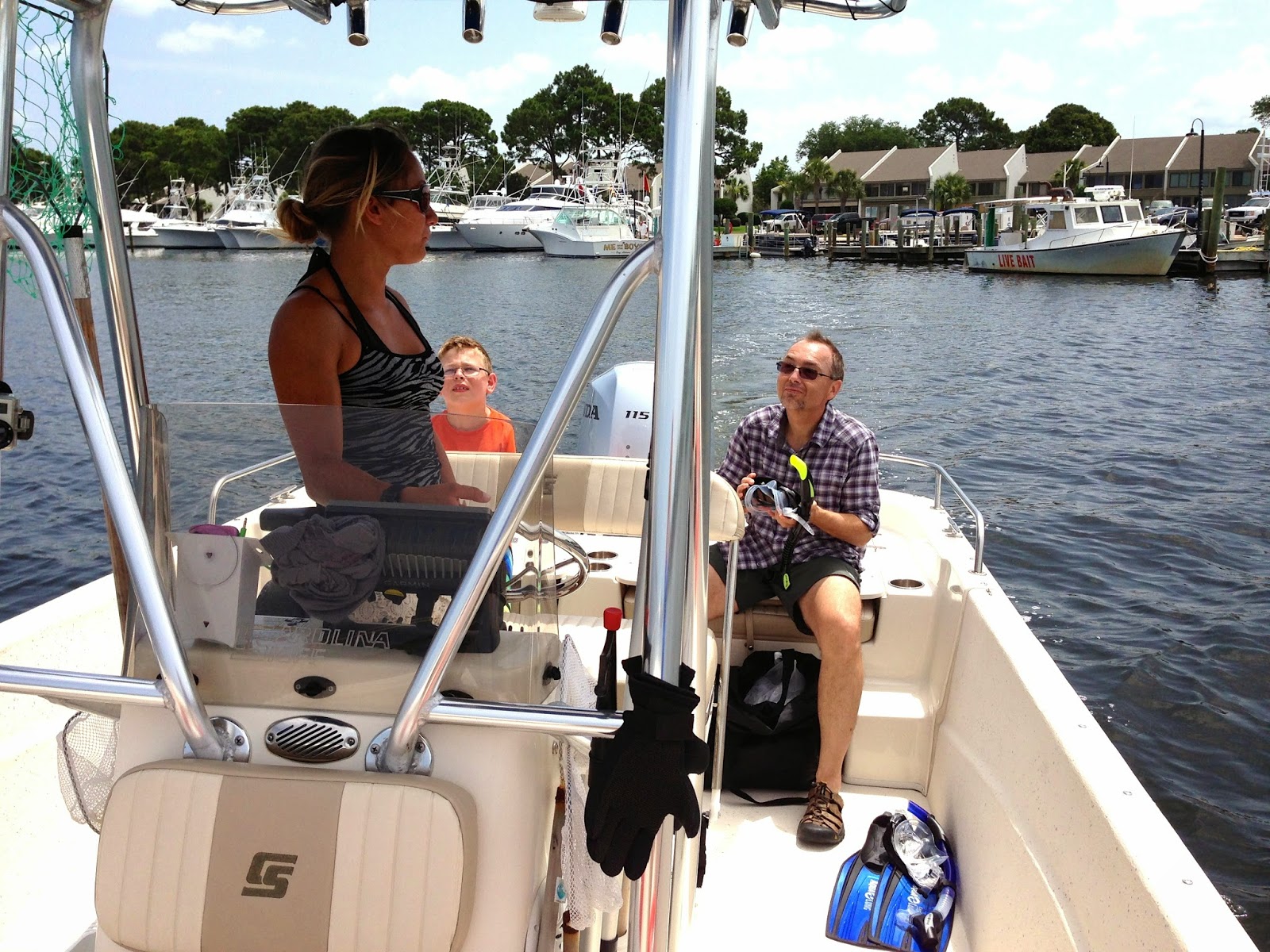 Dolphin and Snorkel Tours Panama City Beach dolphin tours panama city beach