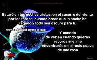 Nadie te arrancará de mi Cartas de amor