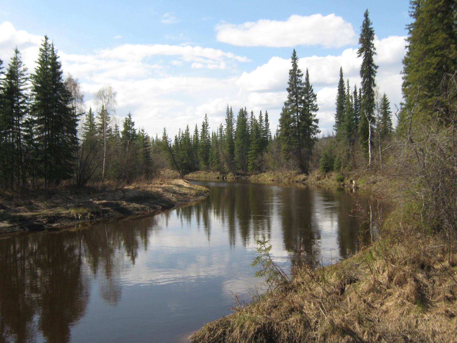 Chef Gurl S Central Alaska Adventure Crooked Creek