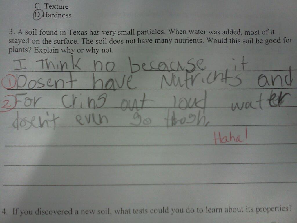 The Teaching Thief Hilarious Student Answers
