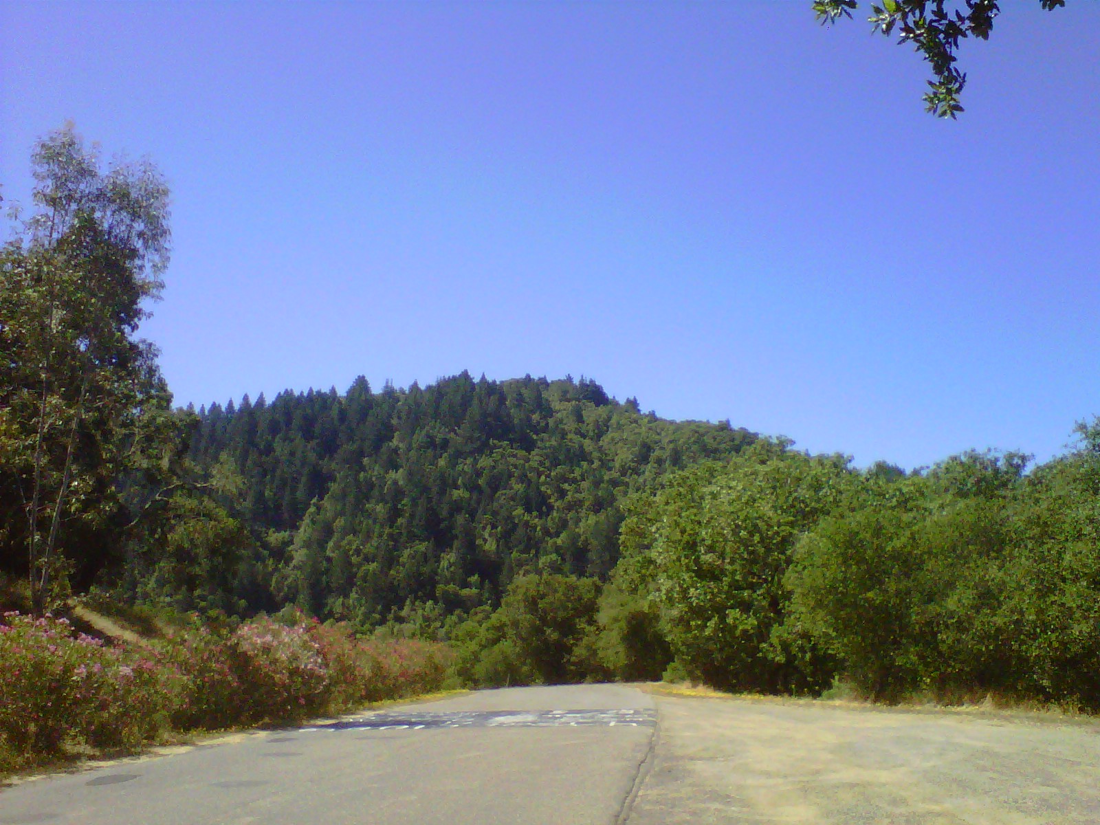 Rio Lindo