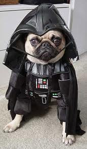Un video chistoso de Darth Vader