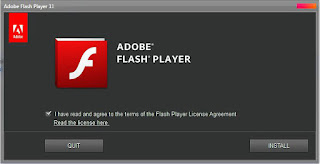 Adobe Flash Player 11.0