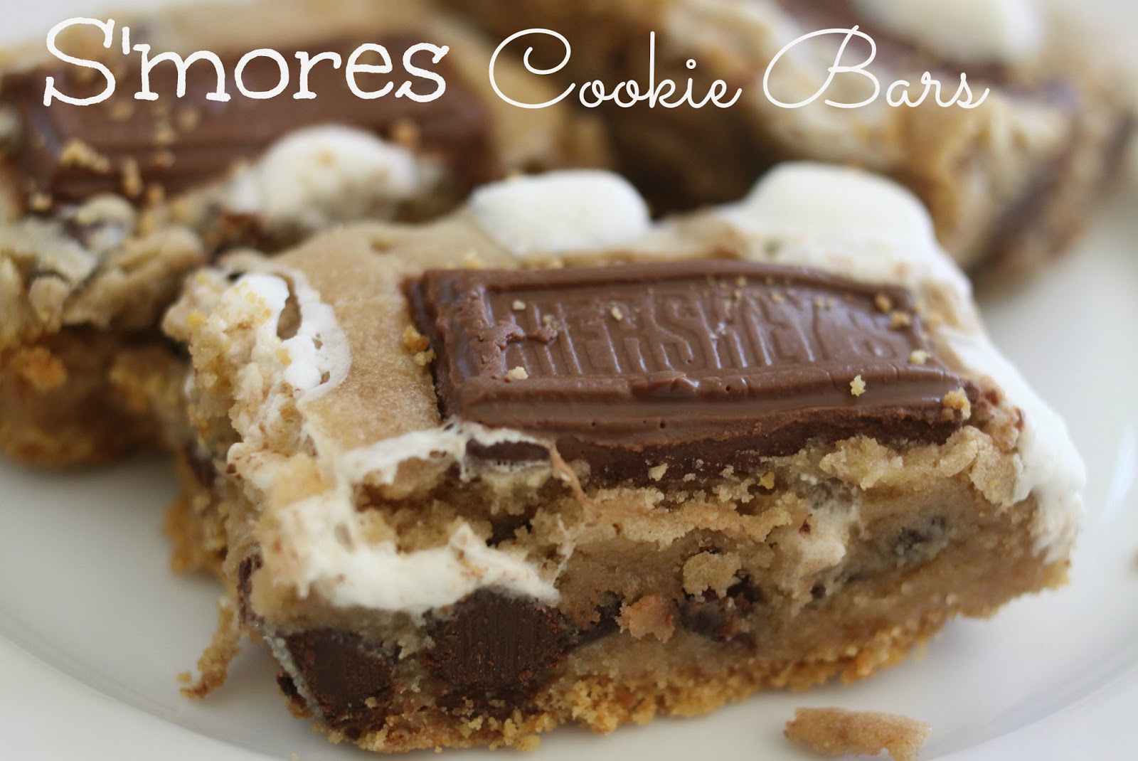 The Larson Lingo S'mores Cookie Bars