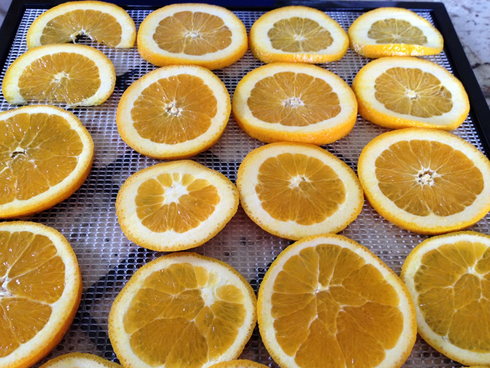 Dehydrating Oranges and Other Citrus Fruit