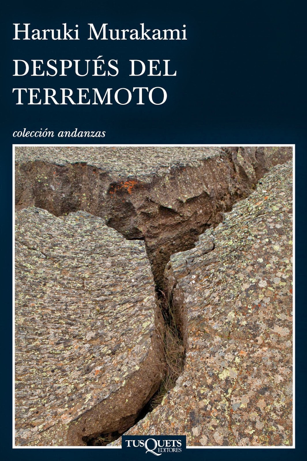 Después del terremoto, Murakami