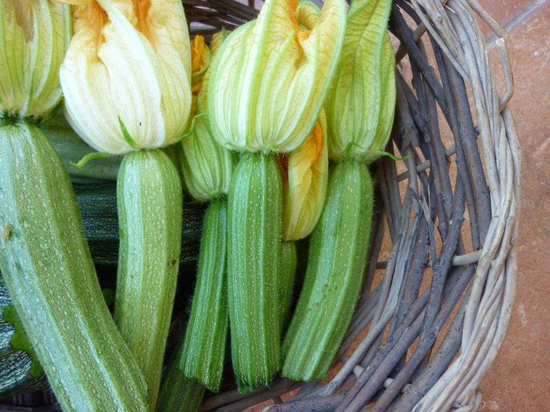 Flavor of Italy Scoop of the Week Zucchini Ice Cream