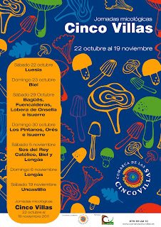 Jornadas Micologicas Cinco Villas