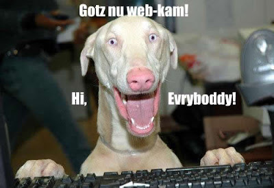 Really Funny Dogs with Captions Really Funny Dogs with Captions