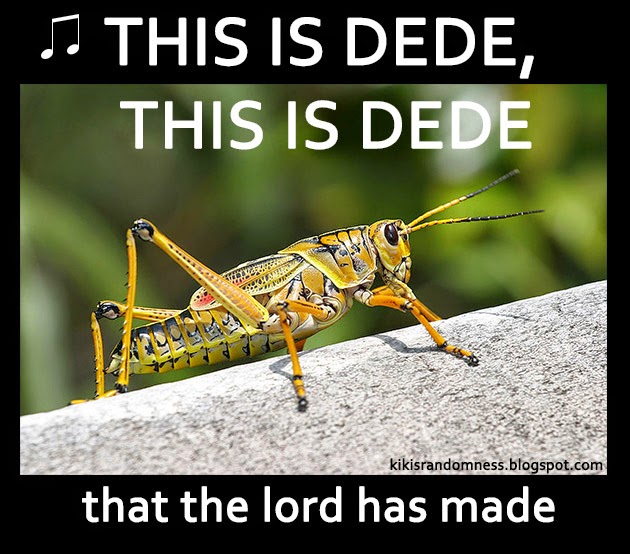 Image result for this is dede insect meme