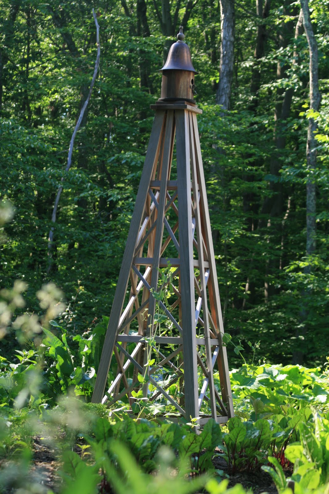 new farm our garden obelisk new farm our garden obelisk