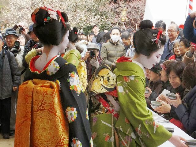 芸妓、舞妓さんのおもてなしの野点を楽しんだ。 芸妓、舞妓さんのおもてなしの野点を楽しんだ。