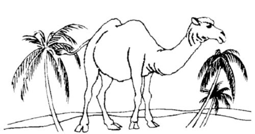 Camels Coloring Pages For Kids >> Disney Coloring Pages