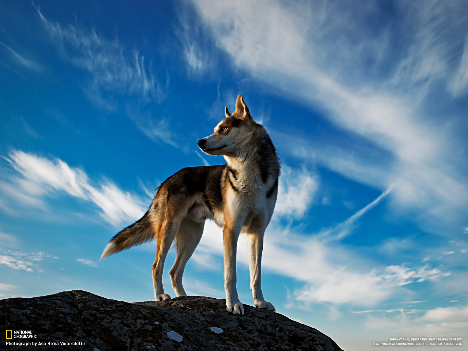 2016 National Geographic Travel Photographer of the Year