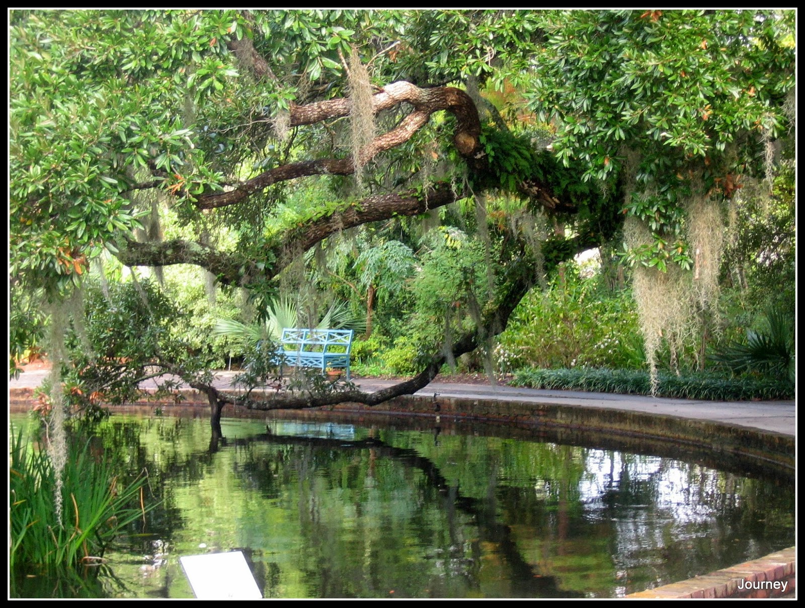 Journey Brookgreen Gardens, South Carolina