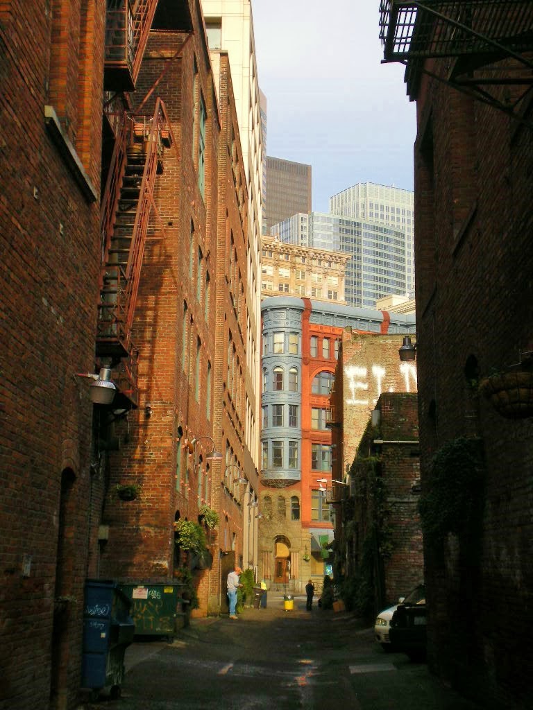 Urban Landscape, Native Landscape January in Seattle