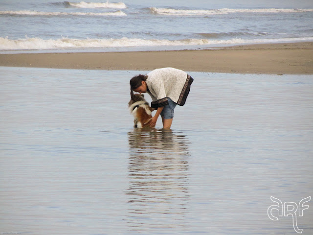woman tending dog in the sea